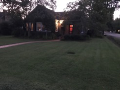 Front Yard5